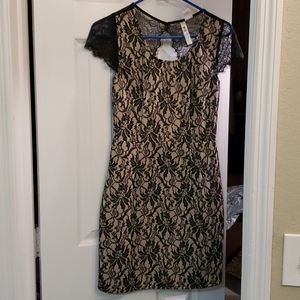 Alice Moon lace dress